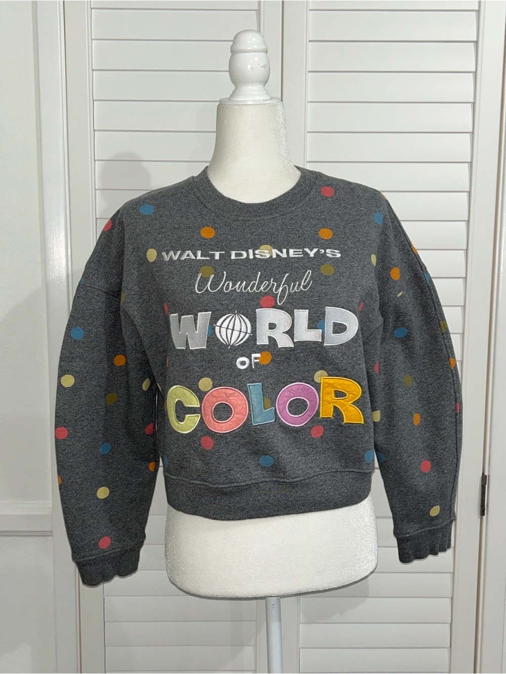 Disney Parks Disneyland World of Color Semi Cropped Sweatshirt